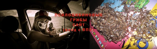 метамфетамин Аркадак